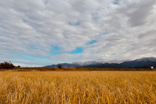 名称未設定のデザイン-3
